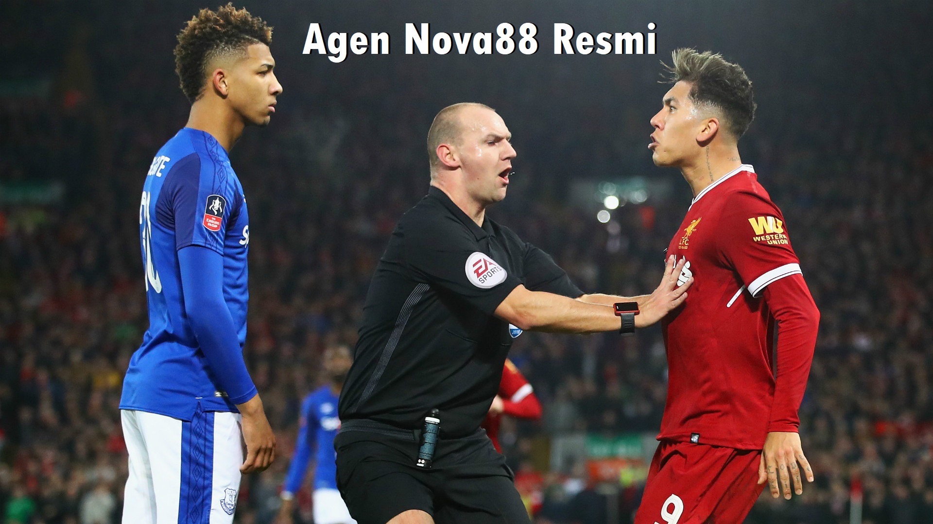 Agen Nova88 Resmi